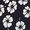 color Black Floral